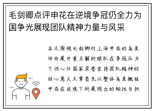 毛剑卿点评申花在逆境争冠仍全力为国争光展现团队精神力量与风采 毛剑卿点评申花在逆境争冠仍全力为国争光展现团队精神力量与风采